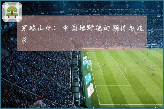 穿越山林：中国越野跑的期待与追求
